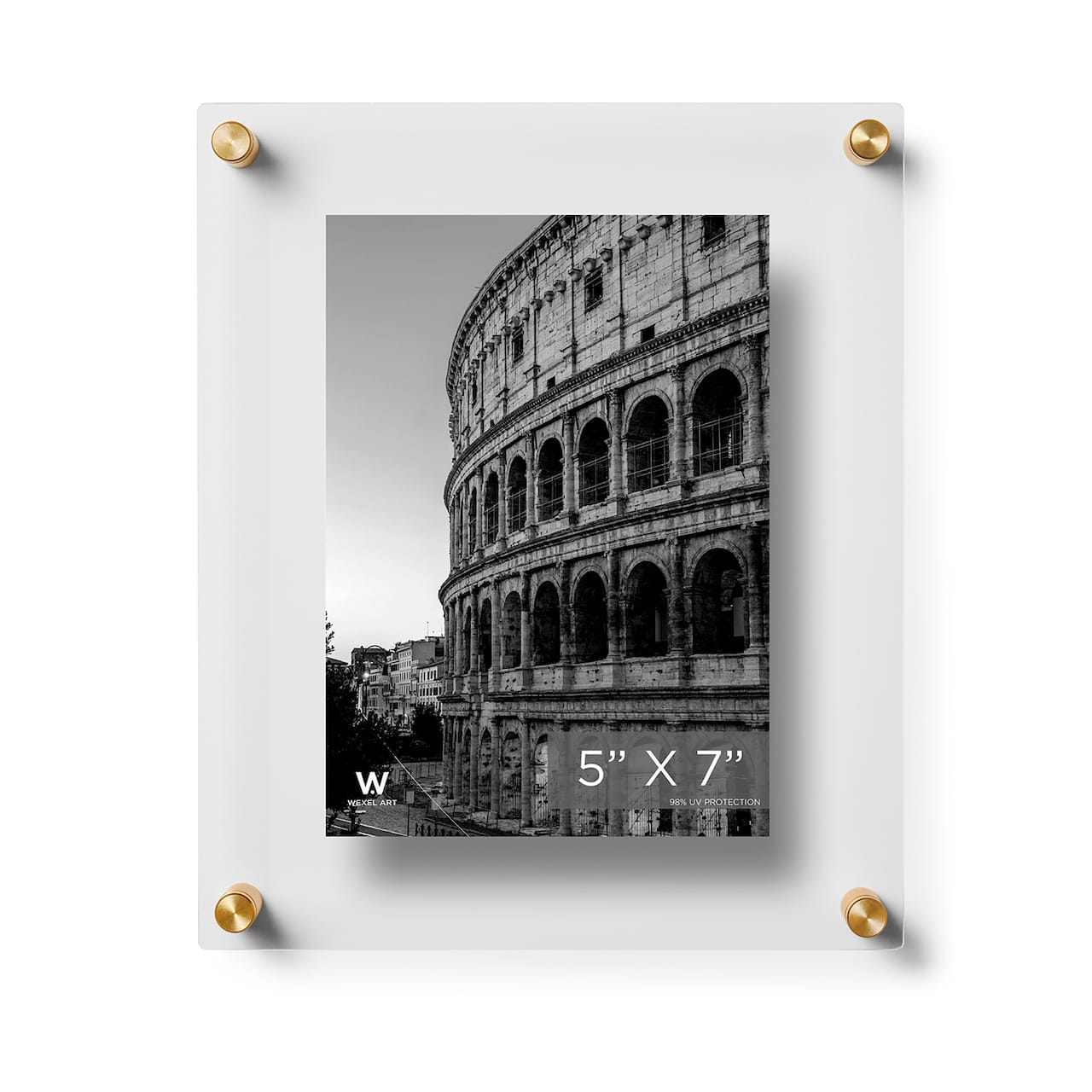 Wexel Art Double Panel Clear Acrylic Floating Wall Frame with Gold Hardware